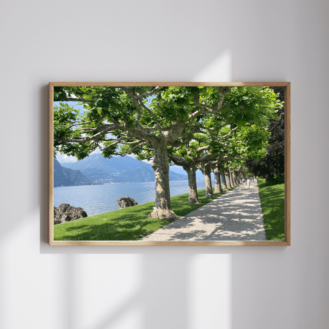 The Green Passage fine art travel photography print featuring a tree-lined walkway along Lake Como, Italy